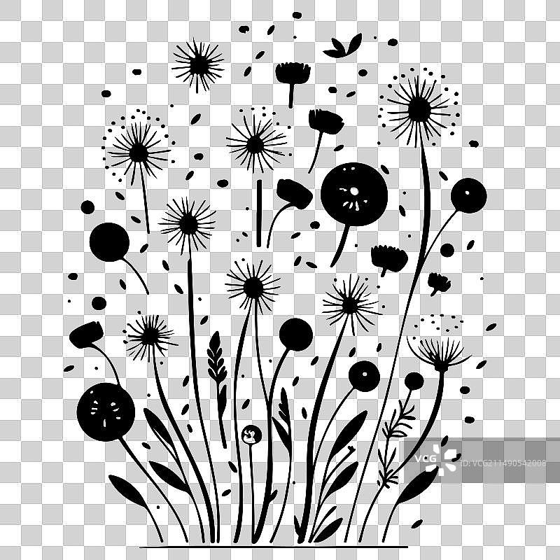黑色飞行蒲公英种子涂鸦草图图片素材