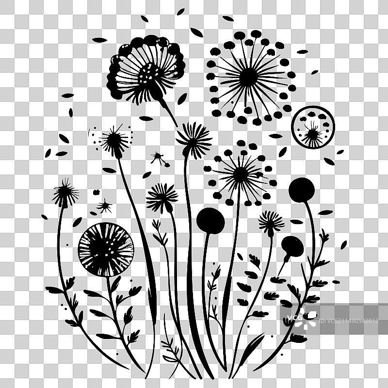 黑色飞行蒲公英种子涂鸦草图图片素材