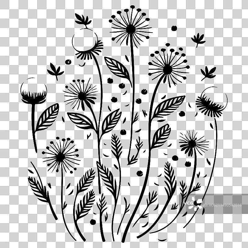 黑色飞行蒲公英种子涂鸦草图图片素材