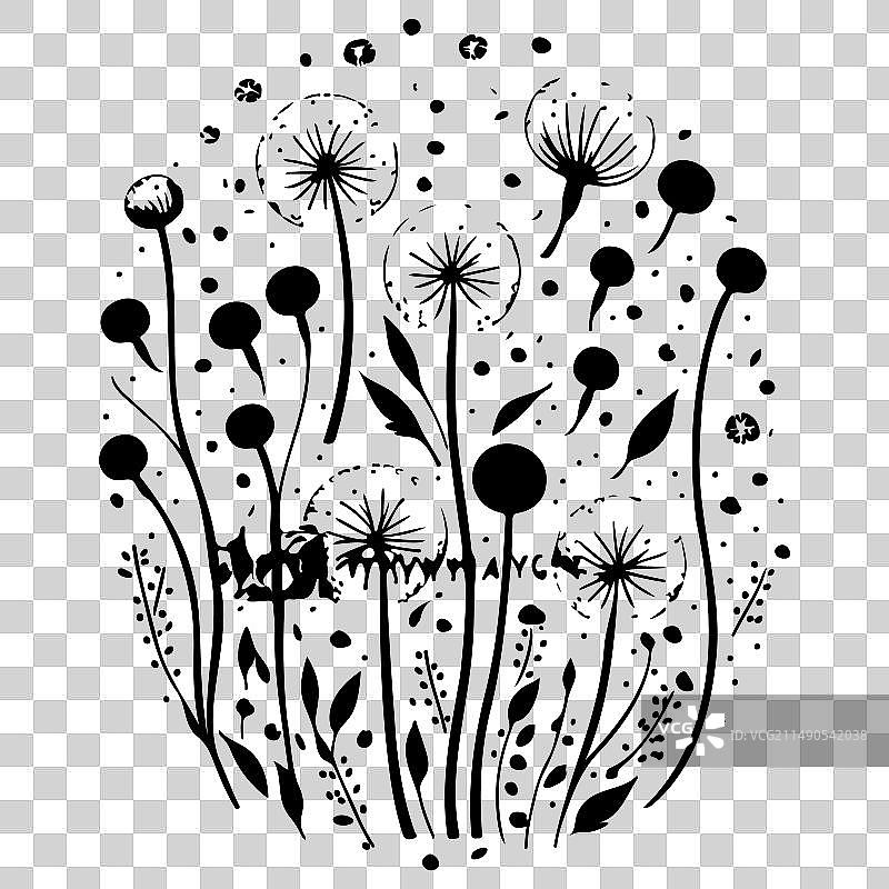 黑色飞行蒲公英种子涂鸦草图图片素材
