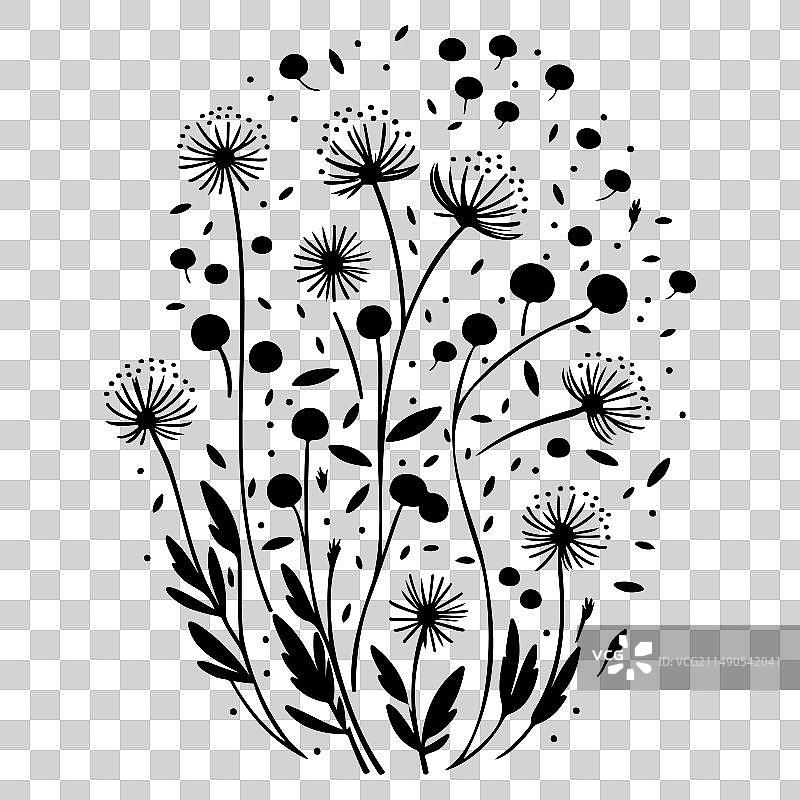 黑色飞行蒲公英种子涂鸦草图图片素材