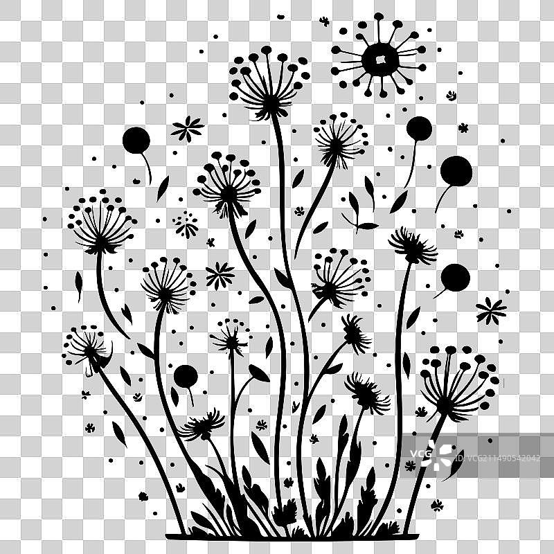 黑色飞行蒲公英种子涂鸦草图图片素材