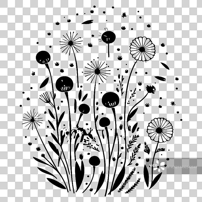 黑色飞行蒲公英种子涂鸦草图图片素材