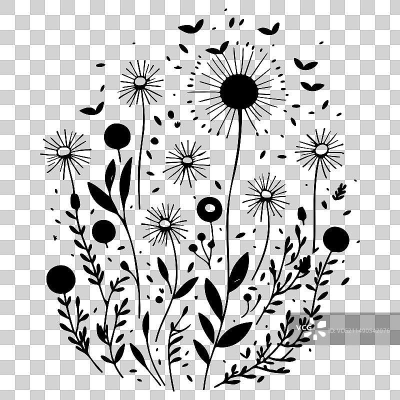 黑色飞行蒲公英种子涂鸦草图图片素材