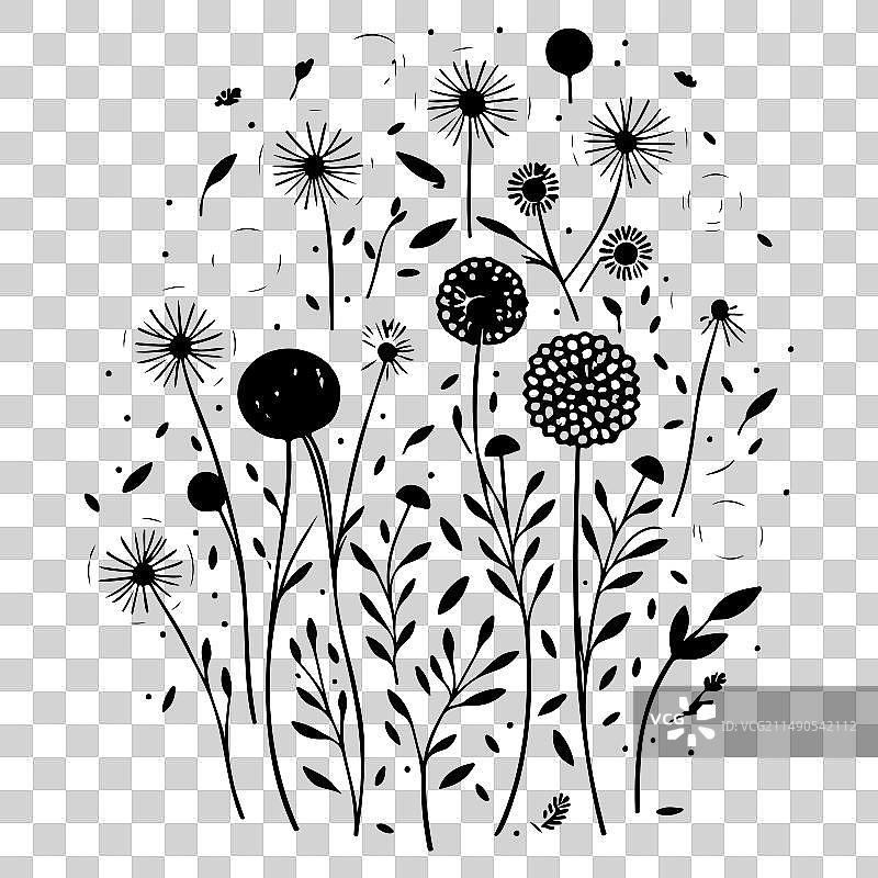 黑色飞行蒲公英种子涂鸦草图图片素材