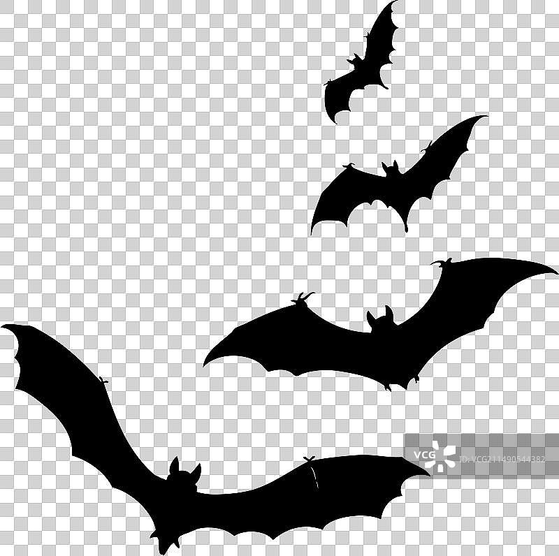 蝙蝠图案图片素材