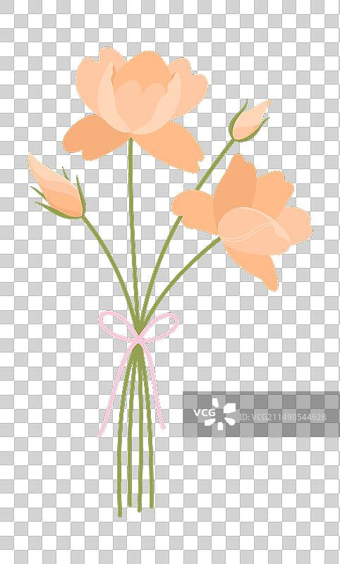 用丝带扎起来的野花花束图片素材