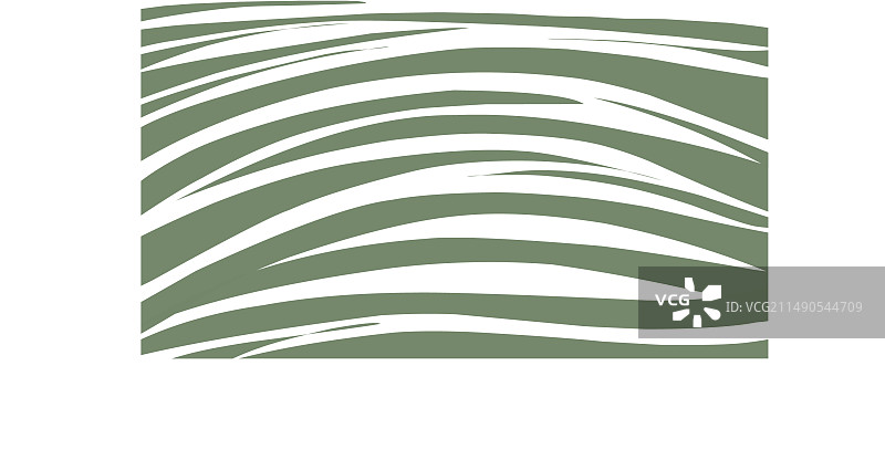 西洋菜颜色抽象背景图片素材