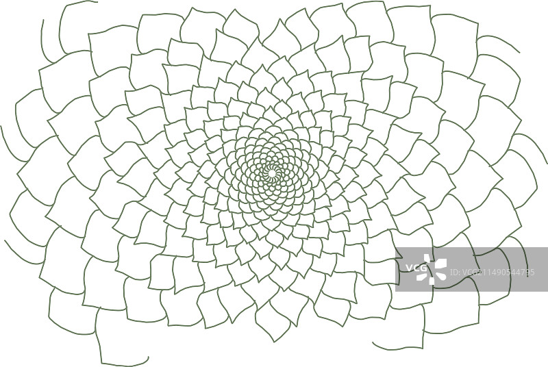 西洋菜颜色抽象背景图片素材