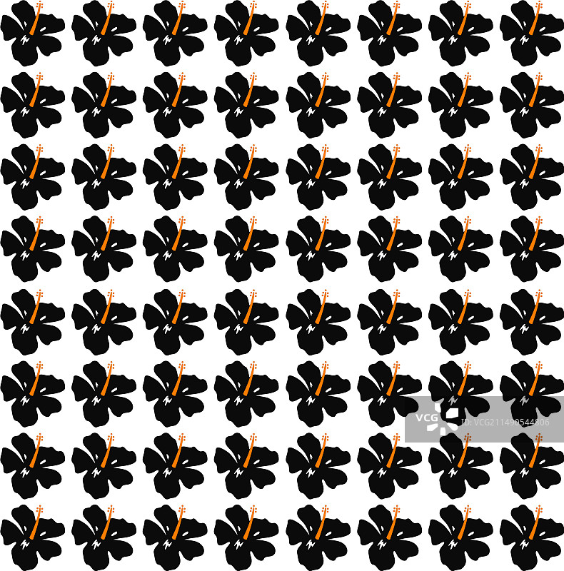 夏威夷风情黑色花卉图案纹理图片素材