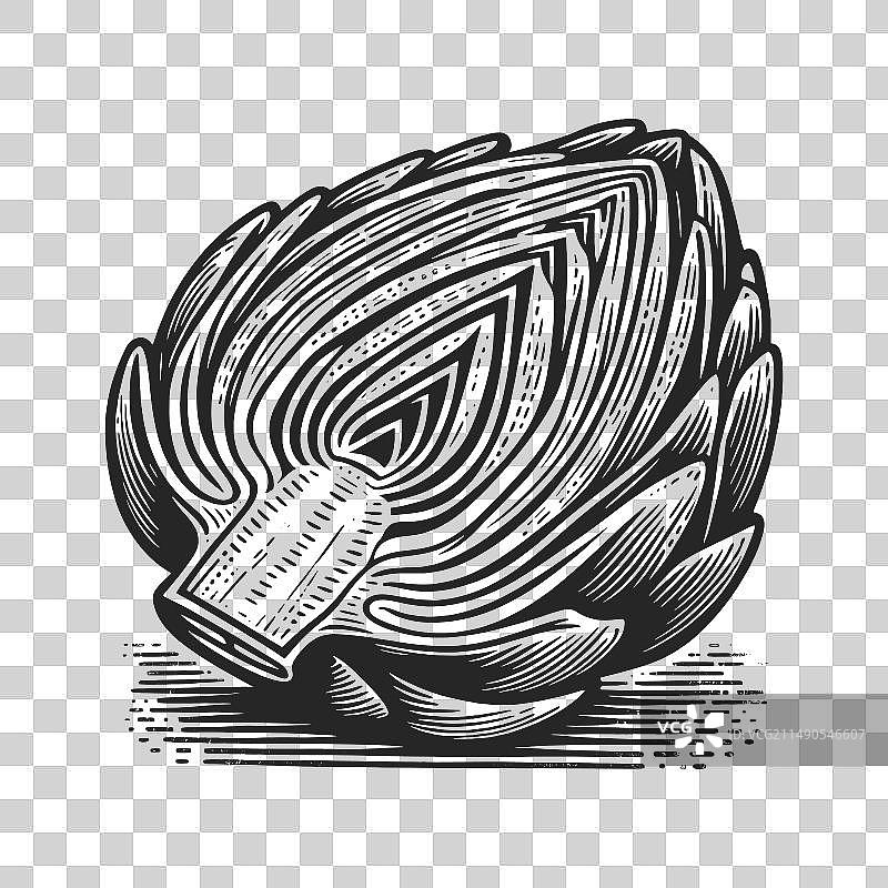 朝鲜蓟蔬菜雕刻画图片素材