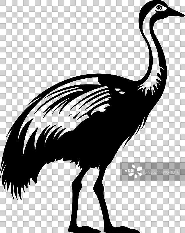 高品质渡渡鸟T恤logo图片素材