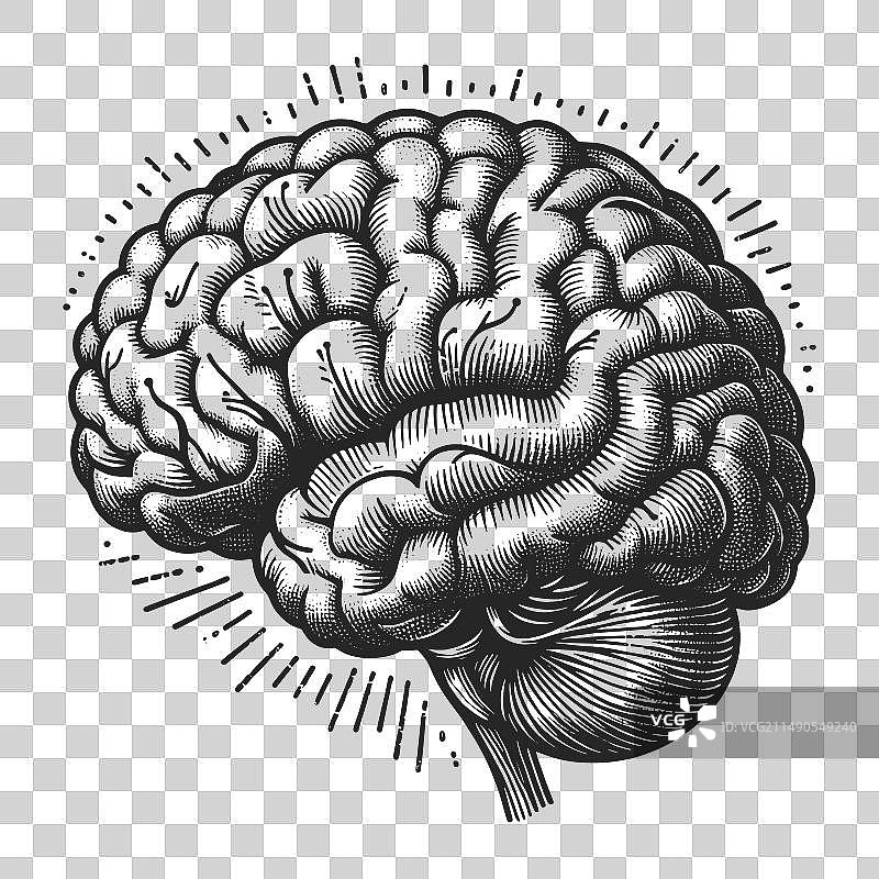 抽象人脑图片素材