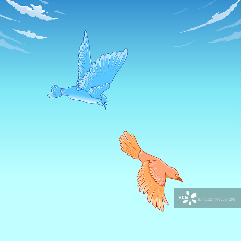 飞翔的鸟图片素材
