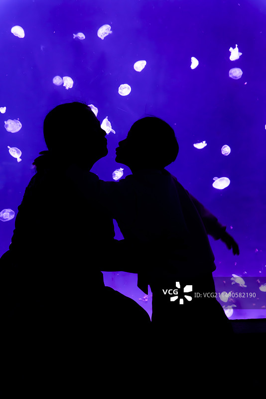 亚洲中国上海市海洋水族馆剪影图片素材