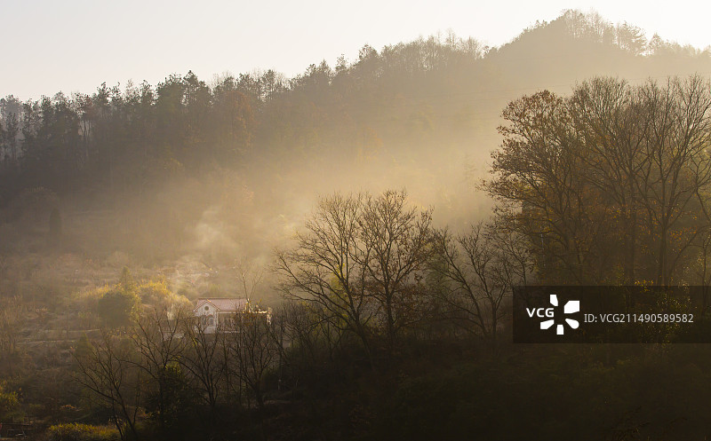 晨雾中的山村图片素材