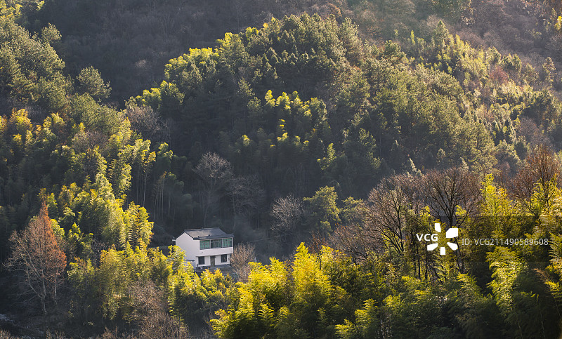 大湾村乡村风光图片素材