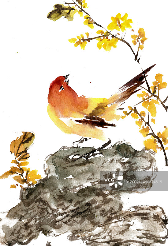 石头上的小鸟图片素材