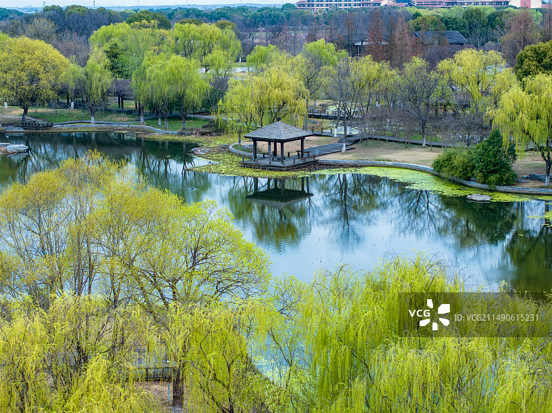 春天里的苏州工业园区阳澄湖半岛旅游度假区莲池湖公园风景航拍图片素材