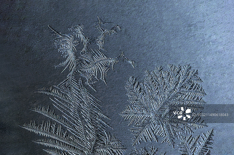 雕刻的花纹图片素材