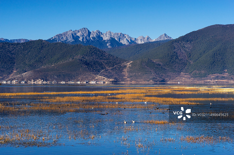 纳帕海图片素材