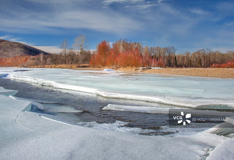 四月冰河红柳图片素材
