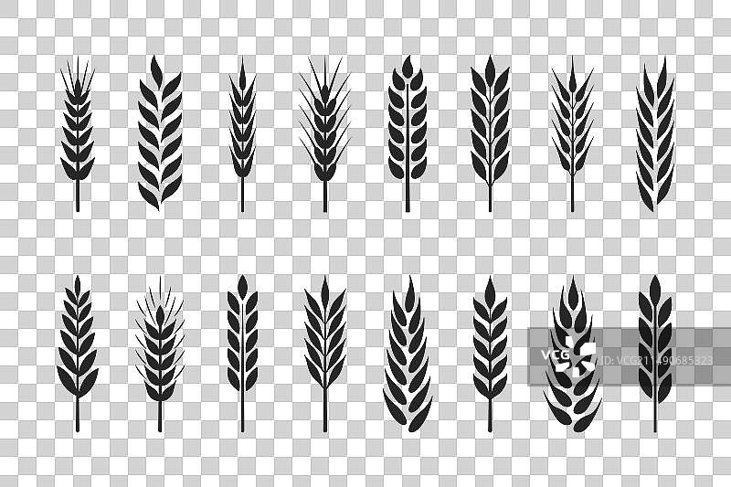 农业小麦谷物麦穗图标合集图片素材