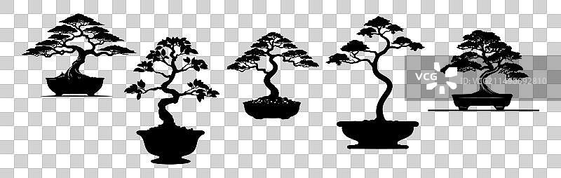 盆景树黑色剪影合集图片素材