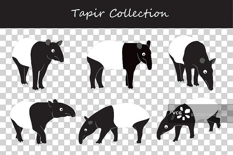 貘集合图片素材