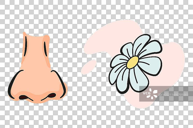 卡通感官器官鼻子图标图片素材