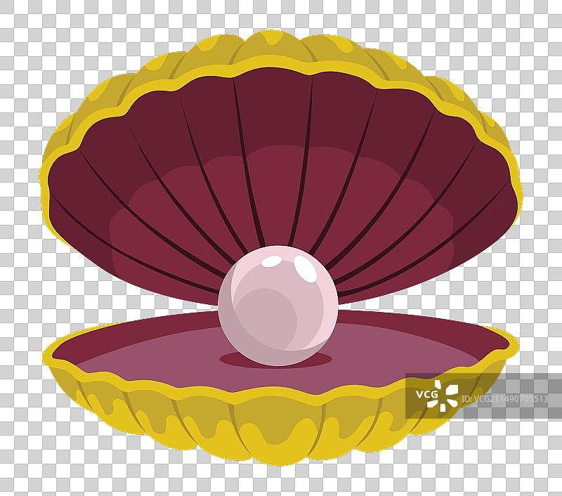 海螺里的珍珠，扇贝图片素材