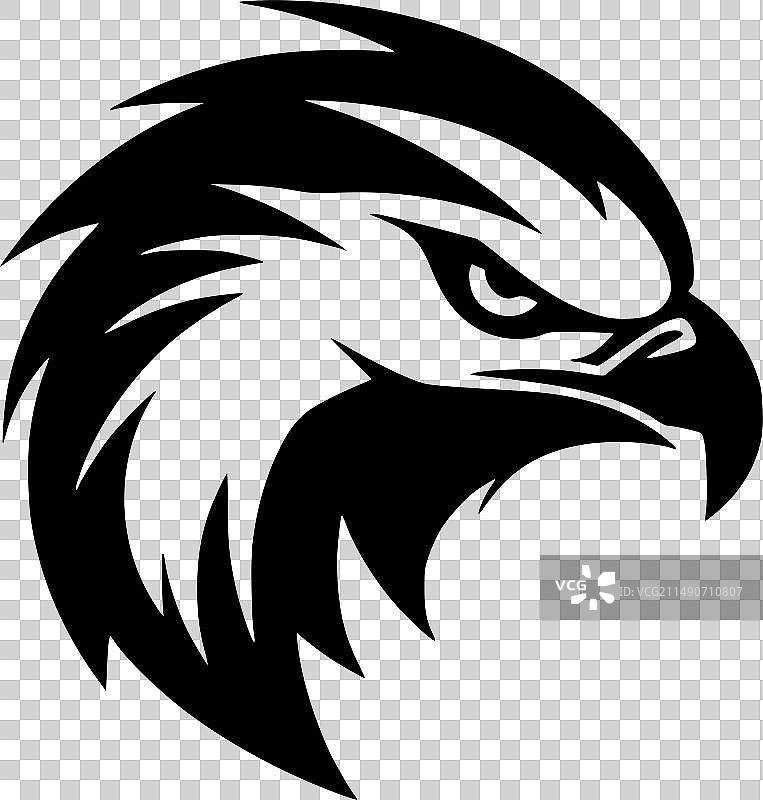 黑白猎隼图片素材