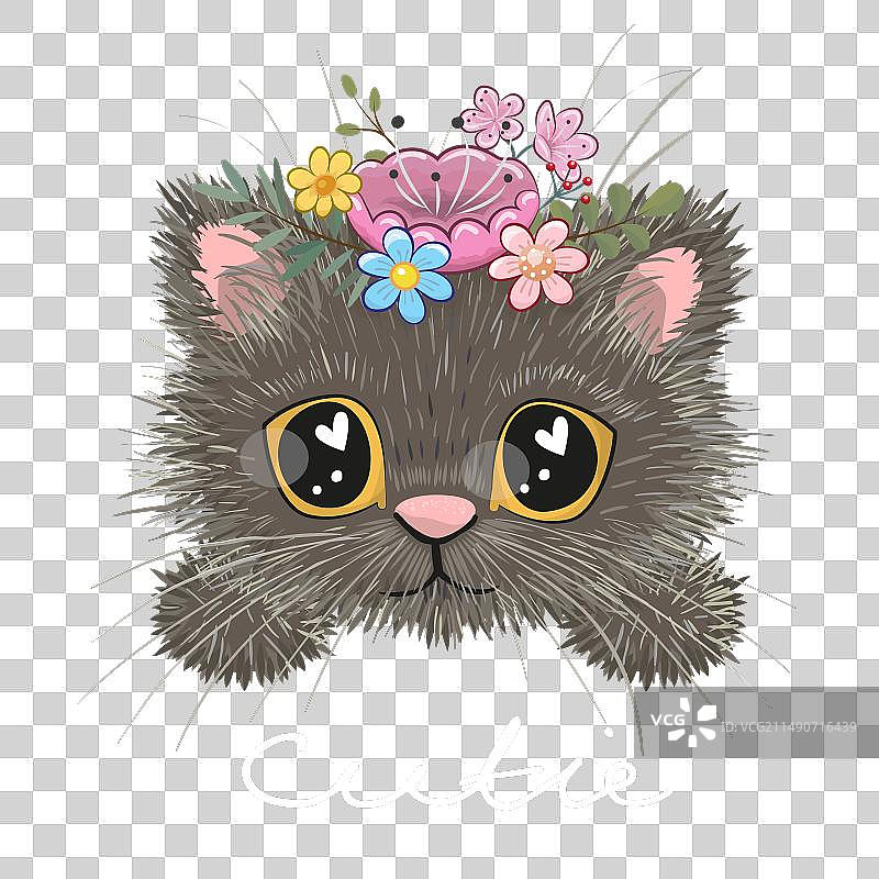 黑色背景上戴着花的英国小猫图片素材