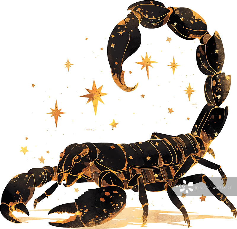 白色背景上带有金色星星的十二生肖天蝎座图片素材