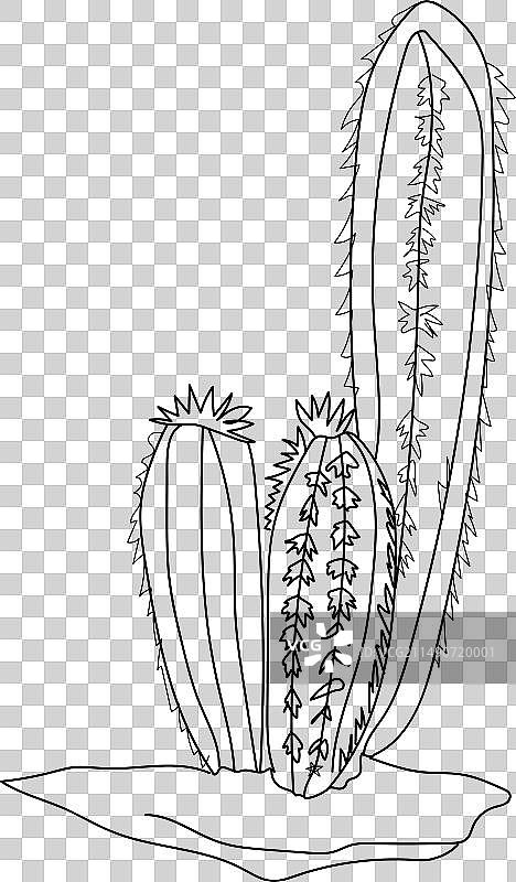 可爱仙人掌涂色页图片素材