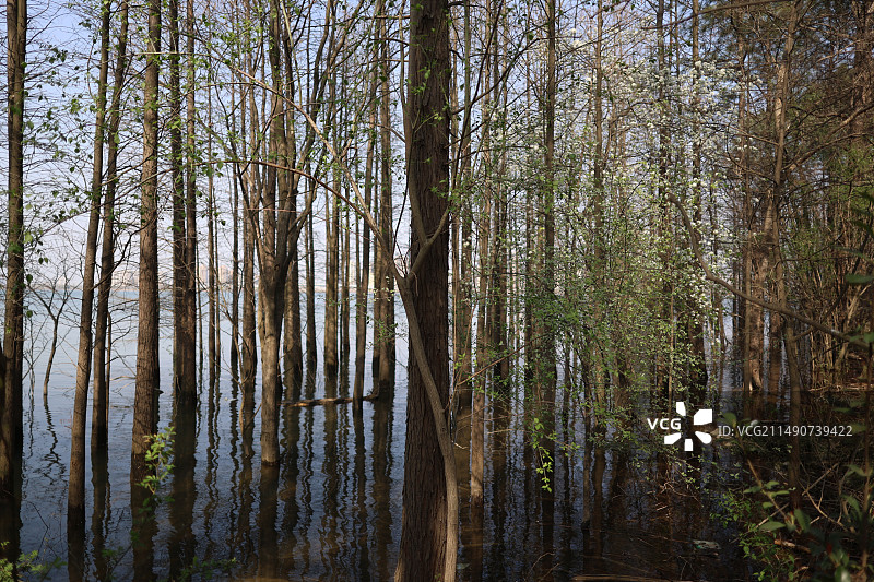 合肥植物园图片素材