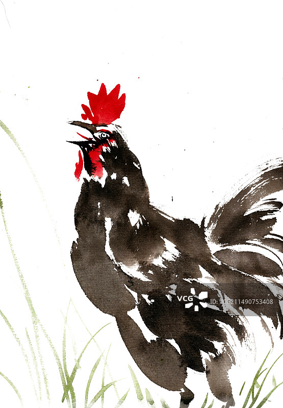 昂首的公鸡图片素材