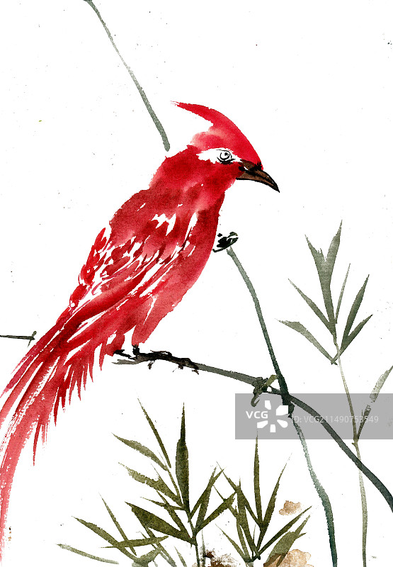 栖息的红鸟图片素材