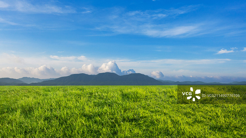 夏天草原风景图片素材