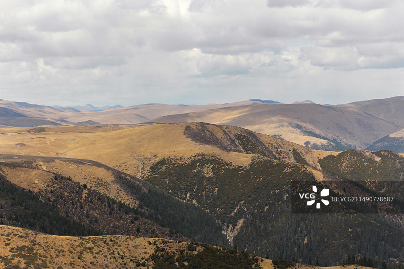 蓝天白云下川西卡子拉山观景台远眺高原高山植被风景图片素材