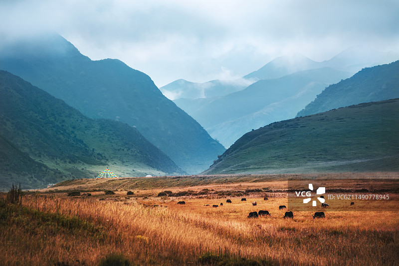 桑科草原图片素材