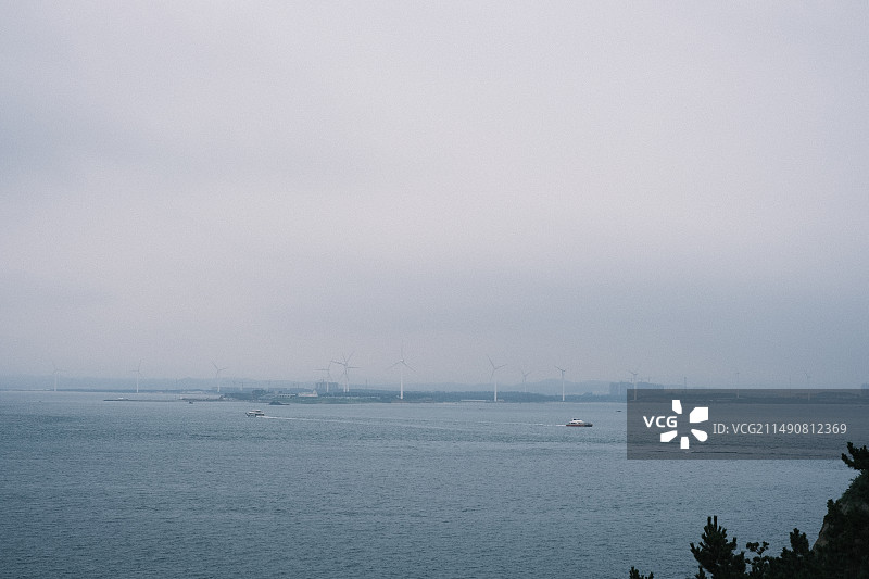 威海鸡鸣岛海鸥海浪图片素材