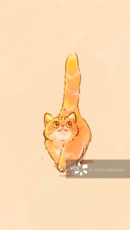 乖巧走路的金渐层图片素材