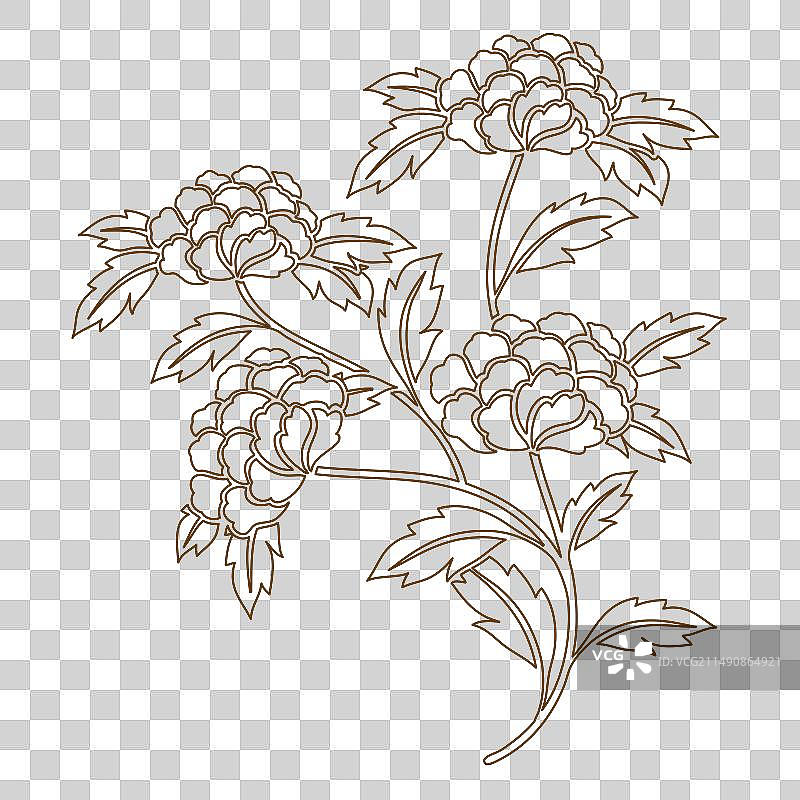 牡丹花纹线稿素材图片素材