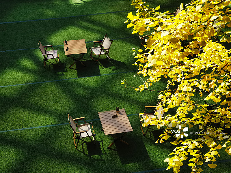 金秋银杏叶下草地上的两张桌子图片素材