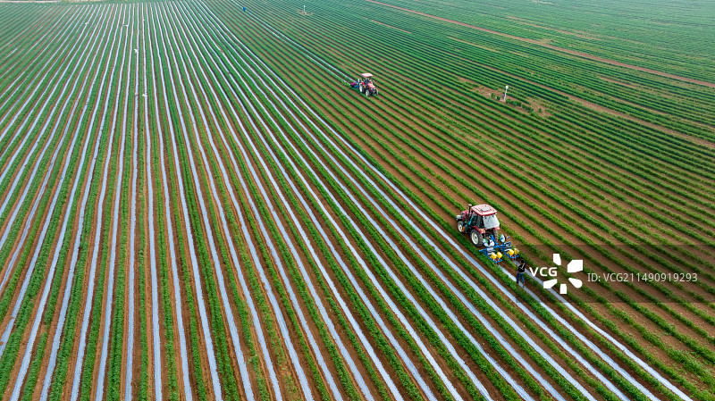 现代农业航拍，农业机械5G数字辣椒播种图片素材