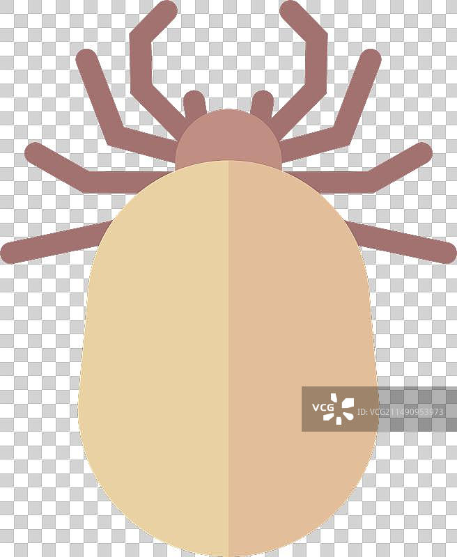 跳蚤图标：动物、血液、寄生虫、野生昆虫图片素材