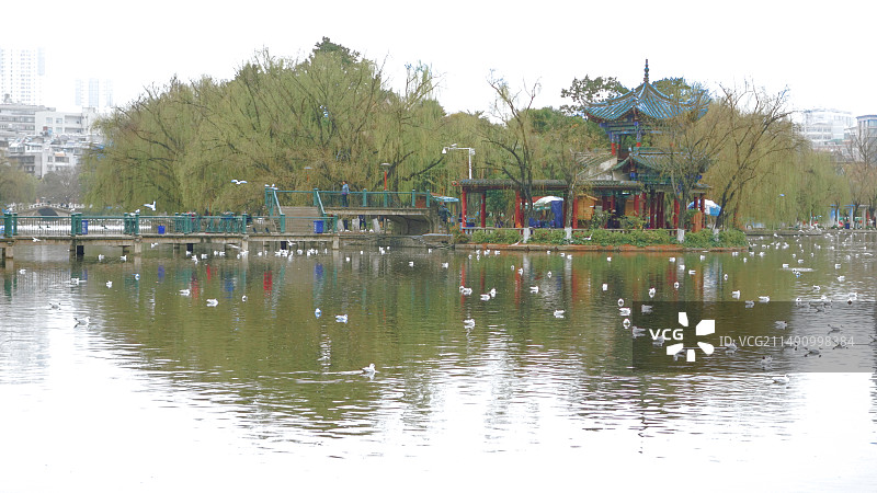 云南昆明“翠湖”风光图片素材