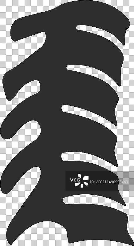 人类脊椎骨骼骨科黑色图标图片素材