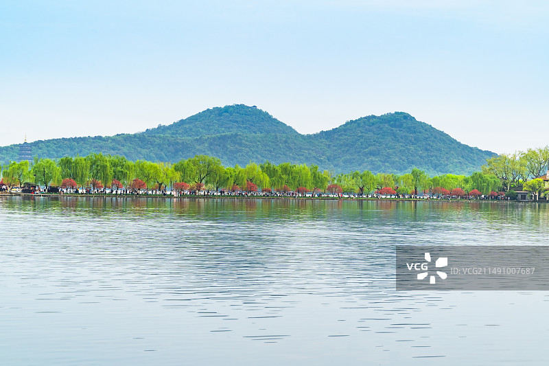 杭州西湖白堤江南春天桃红柳绿自然清新治愈浪漫风景图片素材